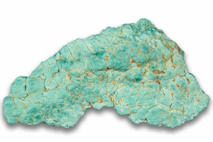 Teal Blue, Chilean Turquoise ( grams) Nugget #323808